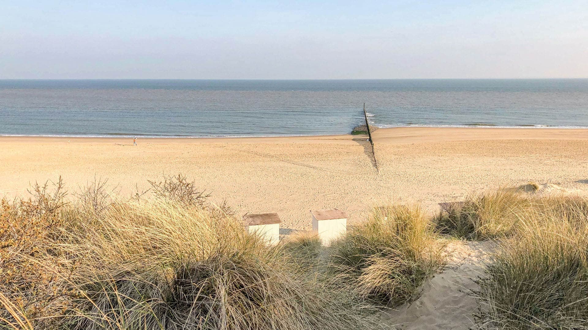 Workshop: Alles Trauma?