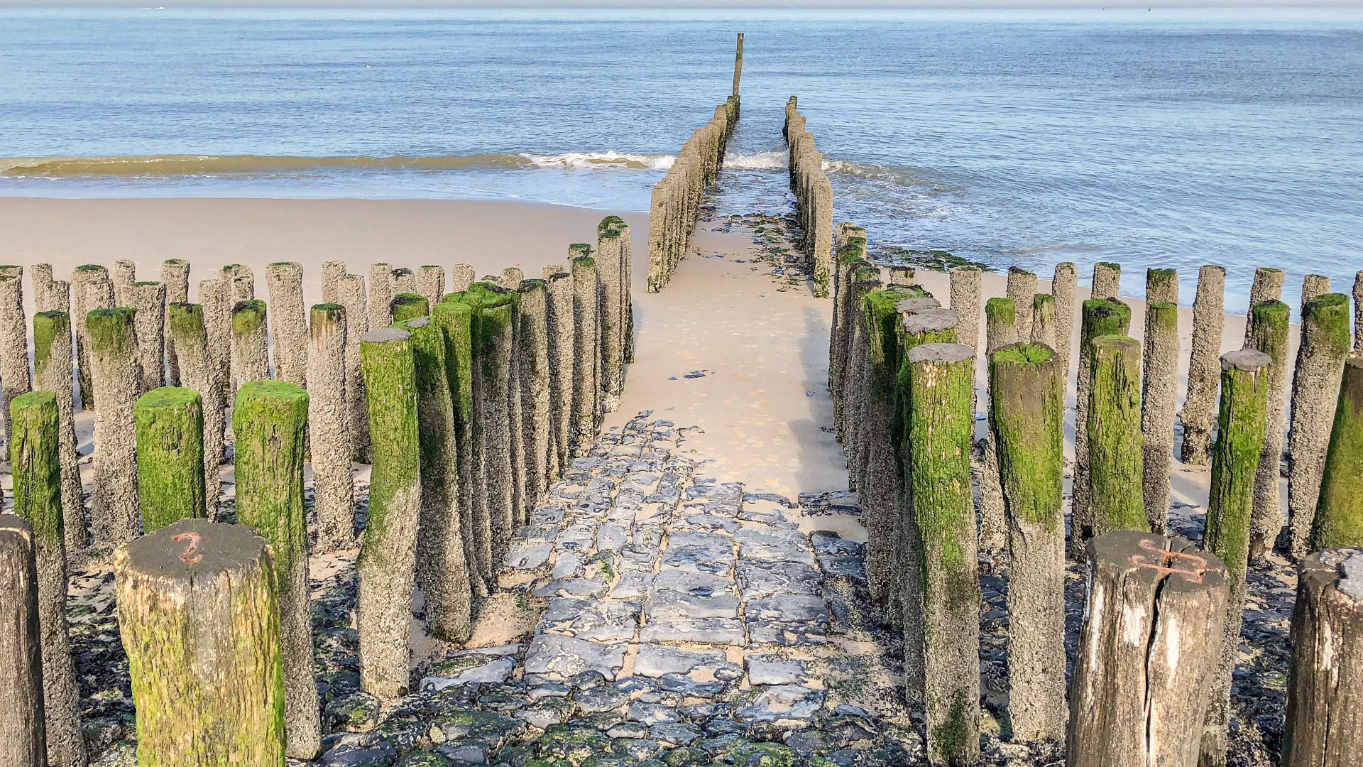 EMDR Supervision – FreyMuT Academy