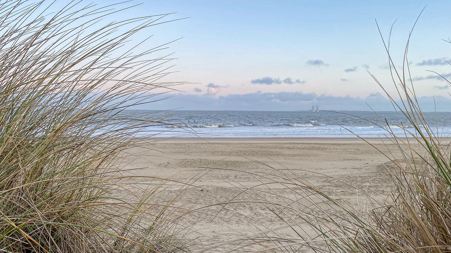 FreyMuT Academy - Wo Bildung Freyheit bedeutet